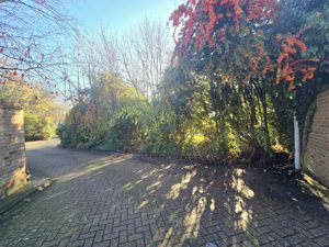 Photo 3- click for photo gallery